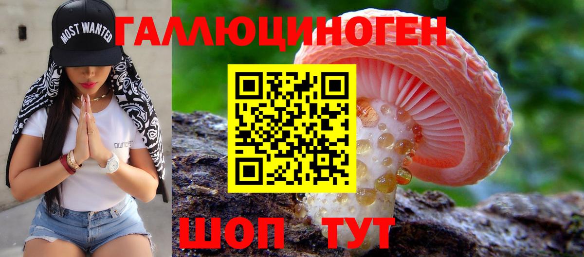 Галлюциногенные грибы Psilocybine cubensis  Псилоцибиновые грибы Psilocybine cubensis  Вход с VPN  Омск 